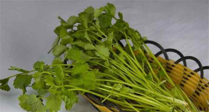 香菜那个梗是什么意思 揭露网络用语香菜究竟是什么意思