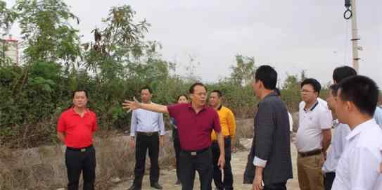 惠来县 惠来历代县长一览表（明代至今）