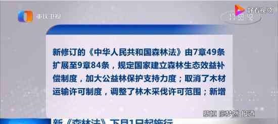 新森林法将实施 有哪些变化具体什么情况