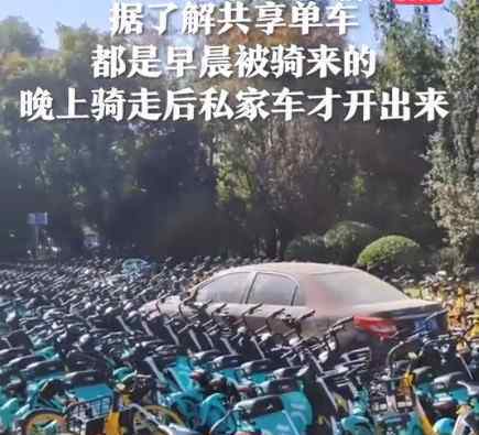 私家车被共享单车层层包围 到底发生了什么
