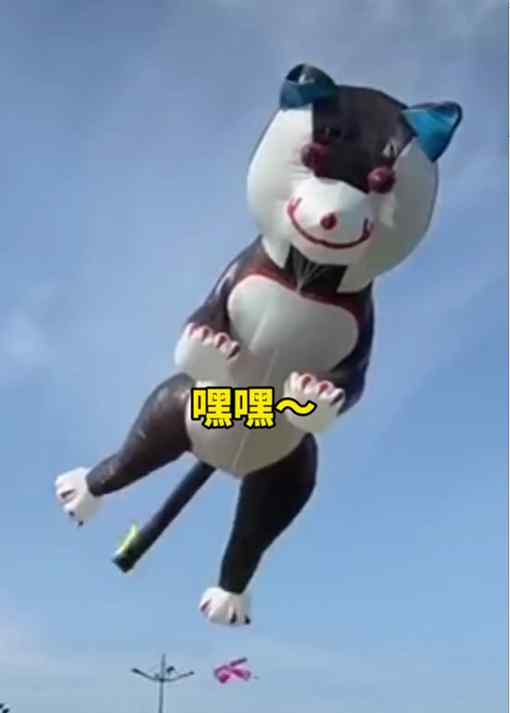 男子差点被“二哈”拽上天？两只脚用生命在刹车！网友：再瘦半斤就起飞了