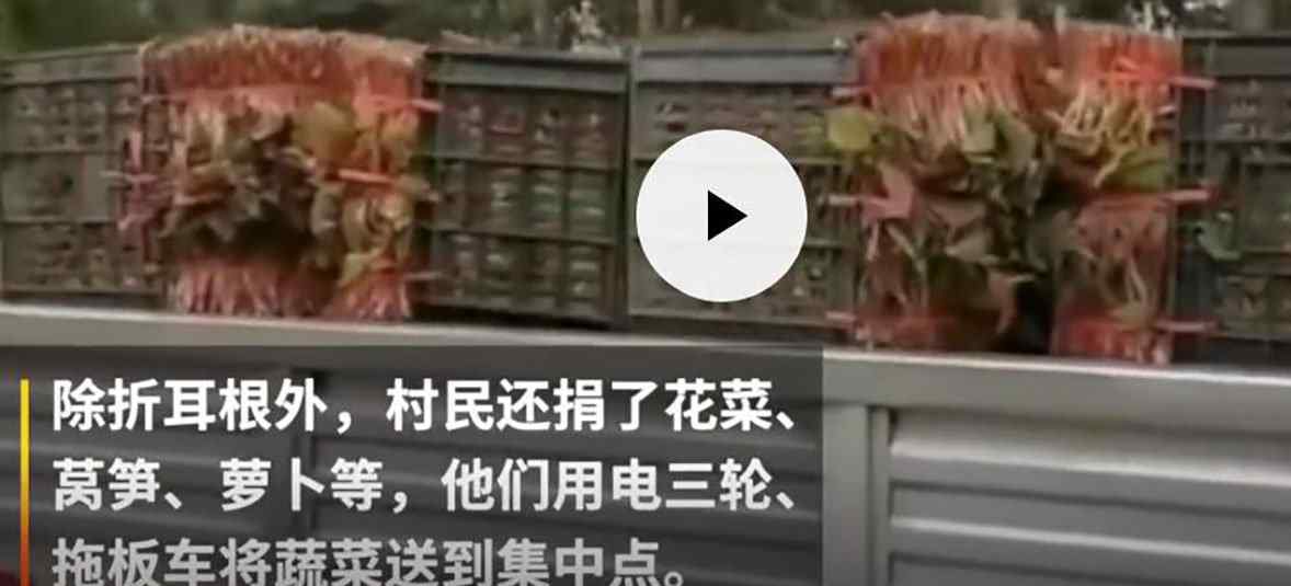 四川村民给武汉捐3吨折耳根，网友：可能感动并嫌弃着