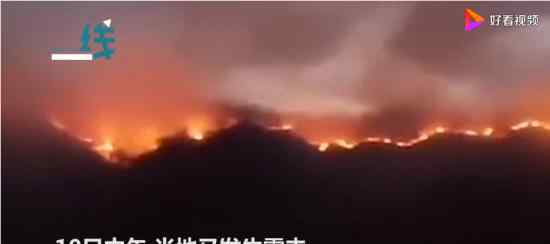 攀枝花突发山火 火势目前情况如何起火原因是什么