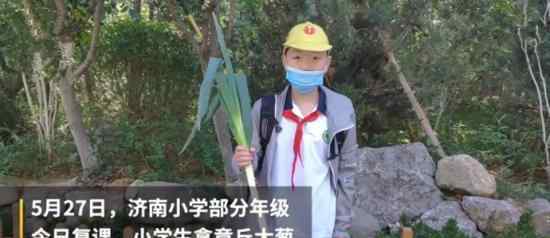 山东小学生复课带大葱 寓意聪明顶级理解