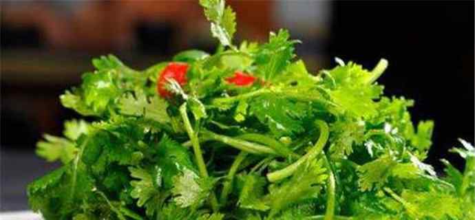 香菜那个梗是什么意思 揭露网络用语香菜究竟是什么意思