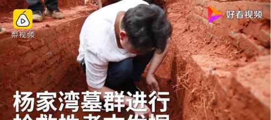 宁乡千年古墓群 具体什么情况有哪些发现