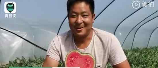 瓜农种心形西瓜520赠爱妻 心形西瓜长什么样子