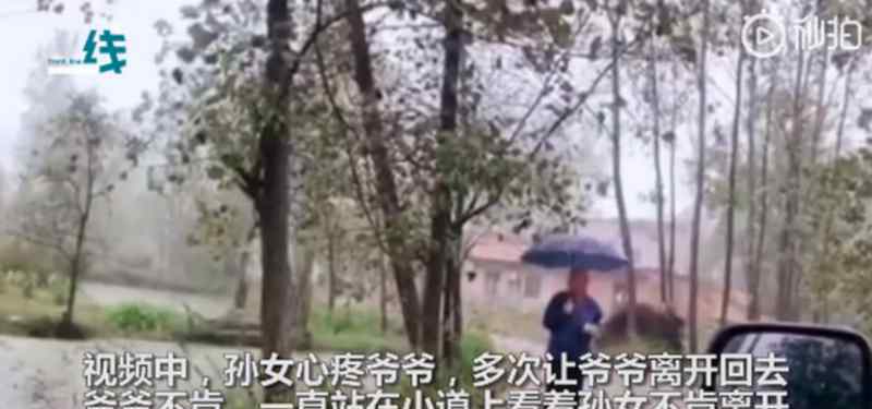 孙女返程爷爷雨中相送不肯离开 为什么会这样