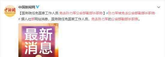 孙力军被免去公安部副部长职务 具体什么情况