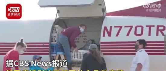 美农场14万只母鸡面临安乐死 具体是什么情况