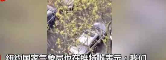 纽约遭遇罕见暴风雪袭击 市民们纷纷在推特上晒雪景