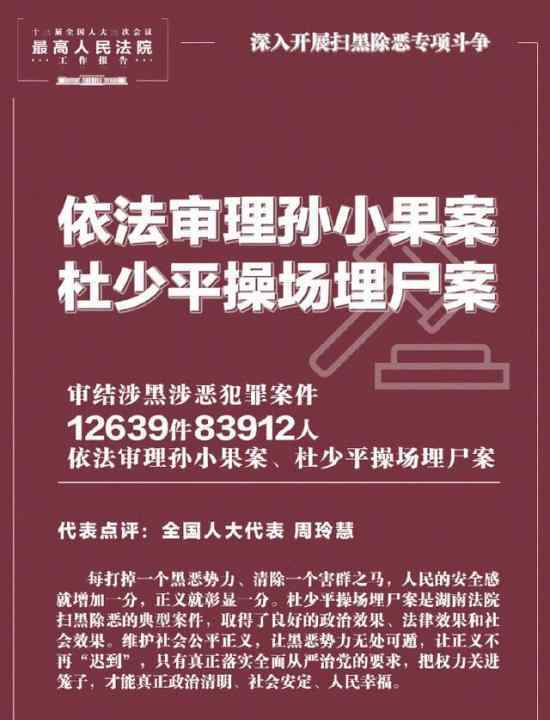 孙小果案杜少平案写入最高法报告 具体怎么回事