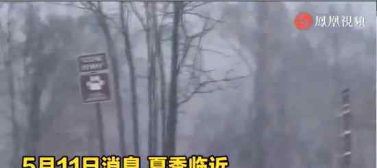纽约遭遇罕见暴风雪袭击 原因是什么具体什么情况