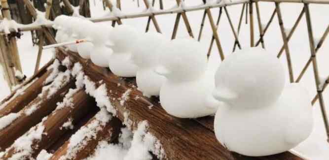 北京鼠年第一场雪 瑞雪兆丰年才是开启2020的最佳方式