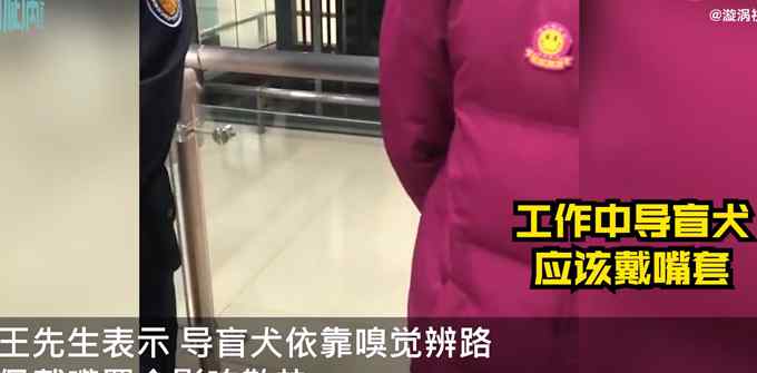 导盲犬未带嘴罩被武汉地铁拒绝入内？地铁方称是依规执行
