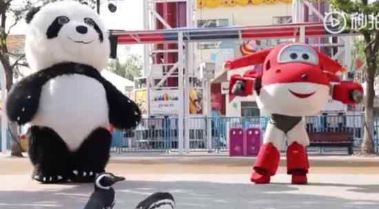 武汉欢乐谷有两只企鹅游客 这是怎么回事