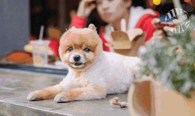 静安小亭 魔都100条必逛小马路，每一条都是爱上海的理由！|上海生活
