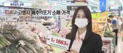 韩国大白菜涨价至62元一棵 到底发生了什么