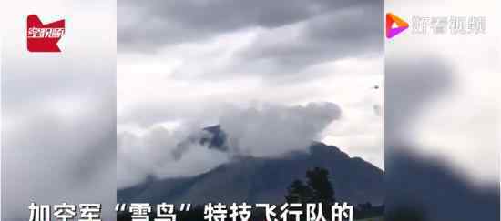 加拿大飞行表演队一飞机坠毁 事故造成了什么后果