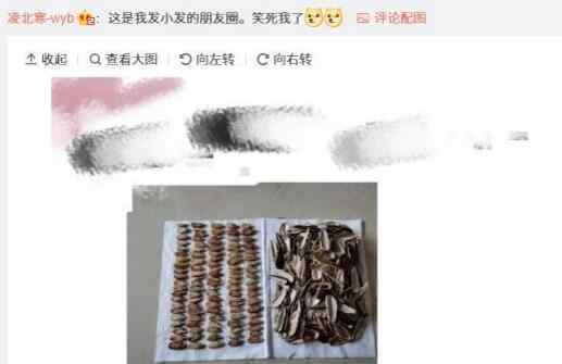 在家多无聊?宅在家中磕了7天瓜子 男子“放大招”惊呆网友