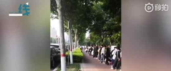 520民政局果然爆满 具体是什么情况