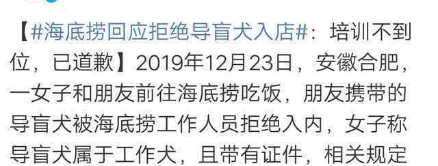 导盲犬进海底捞被拒 导盲犬进餐厅你会反感吗