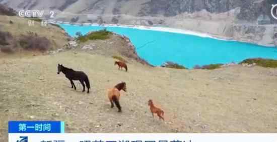 新疆昭苏玉湖出现罕见蓝冰 为什么会出现