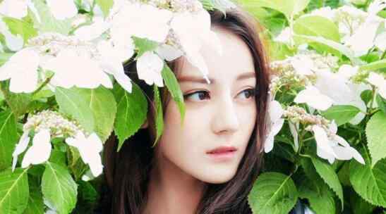 亚洲十大美女排行榜 2017亚洲十大女神排行榜，迪丽热巴第一当之无愧