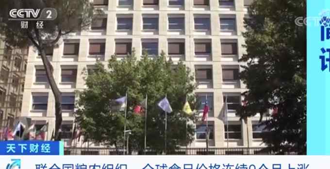 全球食品价格连续9个月上涨 联合国粮农组织公布一组数字