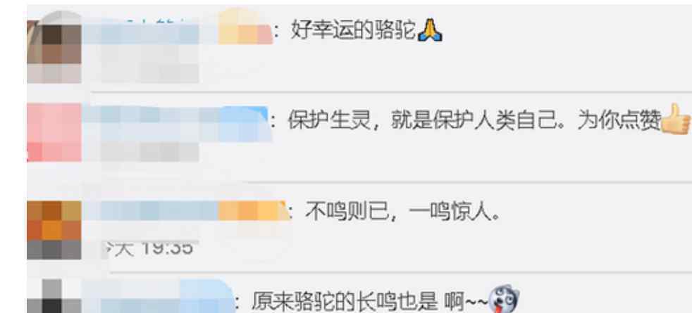 骆驼铁丝缠脚被解救长鸣感谢 回顾事情经过