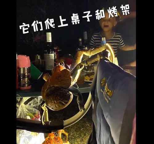 家庭烧烤时爬来50多只大螃蟹 这种螃蟹禁止食用