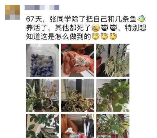 女护士援鄂67天回家后惊呆了 具体怎么回事