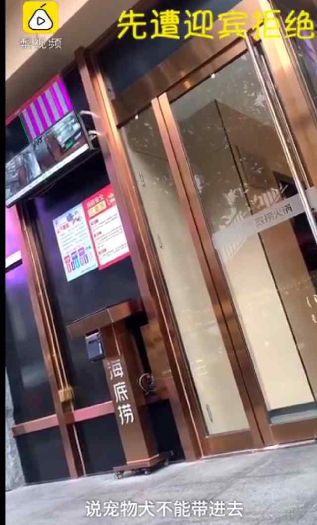 导盲犬进海底捞被拒 导盲犬进餐厅你会反感吗