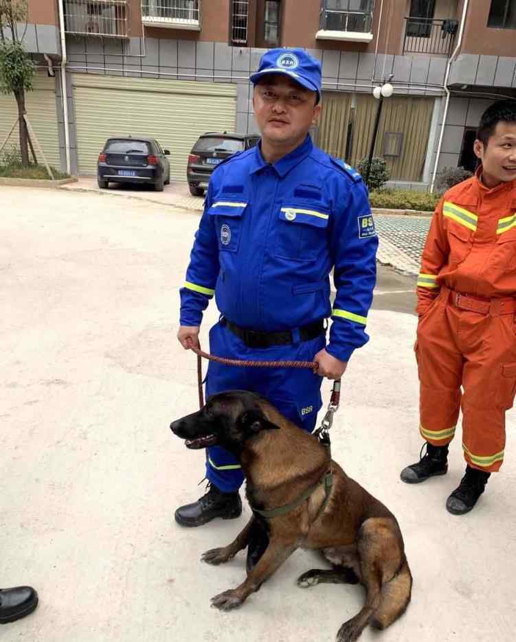 两搜救犬疑被毒死 总价值近7万元，不随意吼叫攻击人