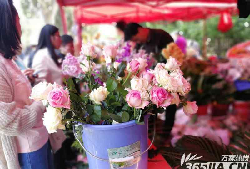 清明节鲜花 让清明更“清明” 合肥大蜀山文化陵园鲜花祭祀受追捧