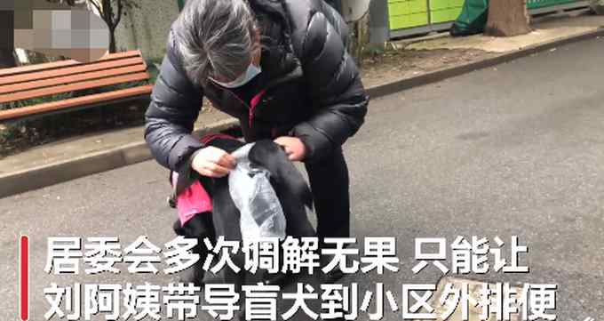 视障阿姨因导盲犬排尿被邻居投诉2年 多次协调未果！引网友讨论