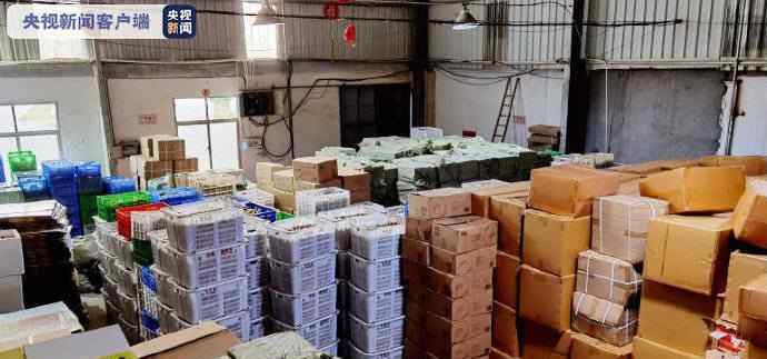 上海警方查获18万个假冒品牌月饼 回顾案情经过