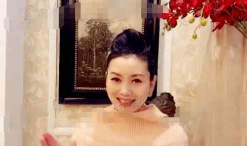 朱军的老婆 朱军妻子近照，年逾半百仍朝气蓬勃，当老板走上人生巅峰