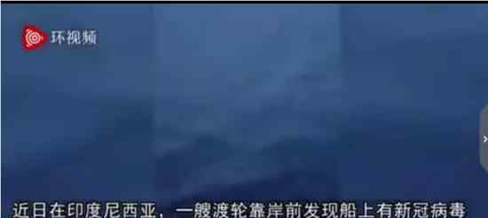 渡轮乘客担心感染纵身跳海 现场具体情况如何