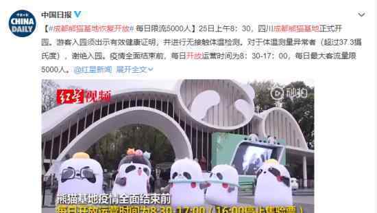 成都熊猫基地恢复开放 现场情况如何入园有哪些规定