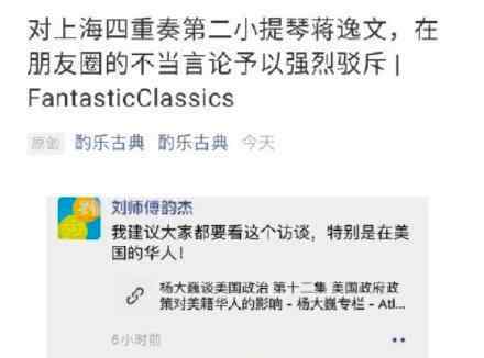 华裔演奏家涉不当言论被解聘 他是谁他说了什么