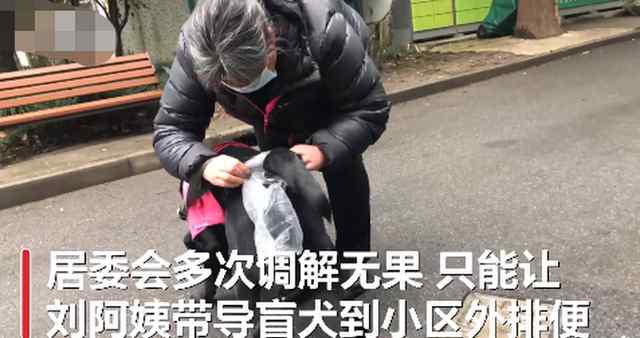 视障阿姨因导盲犬排尿被邻居投诉2年 居委会多次调解无果 究竟发生了什么?