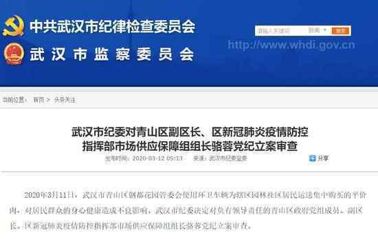 青山区副区长被审查 为什么被审查什么情况