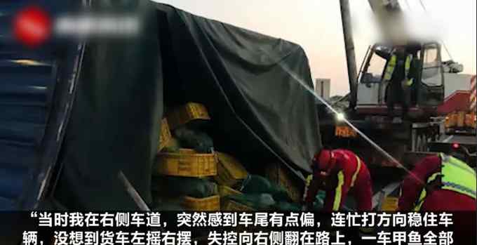 6吨甲鱼散落高速上 司机崩溃：损失大了！