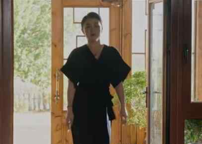 王大拿老婆 乡村爱情11杨总是谁文章配图