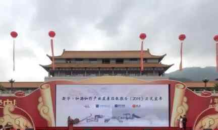 新华·仙游仙作产业发展指数正式发布
