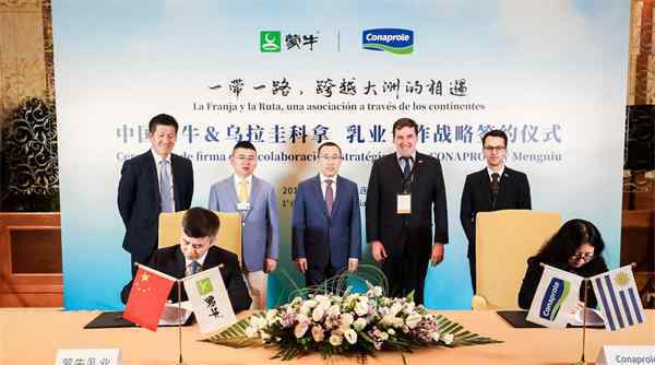 蒙牛与乌拉圭乳业签订合作协议，加速国际化布局