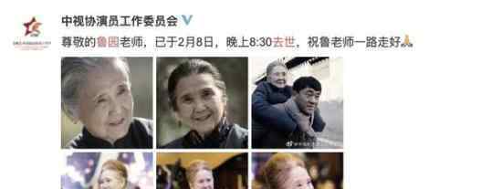 鲁园去世 鲁园是谁她有哪些为人熟知的作品