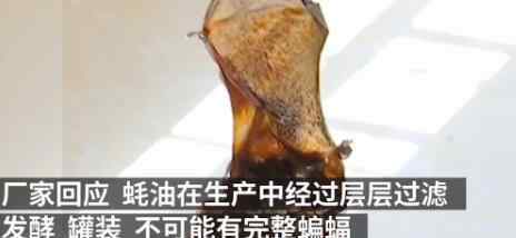 厂家回应蚝油桶内现整只蝙蝠 为什么会这样说