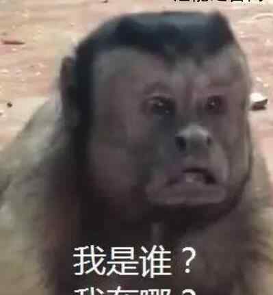 男子新房装修进厨房一看瞬间懵了 到底发生了什么